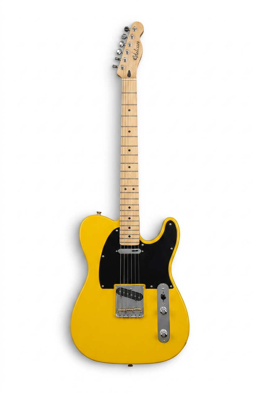 Custom Guitar