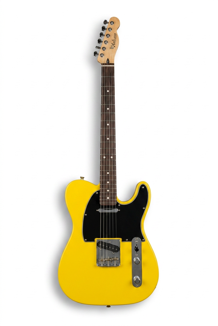 Custom Guitar