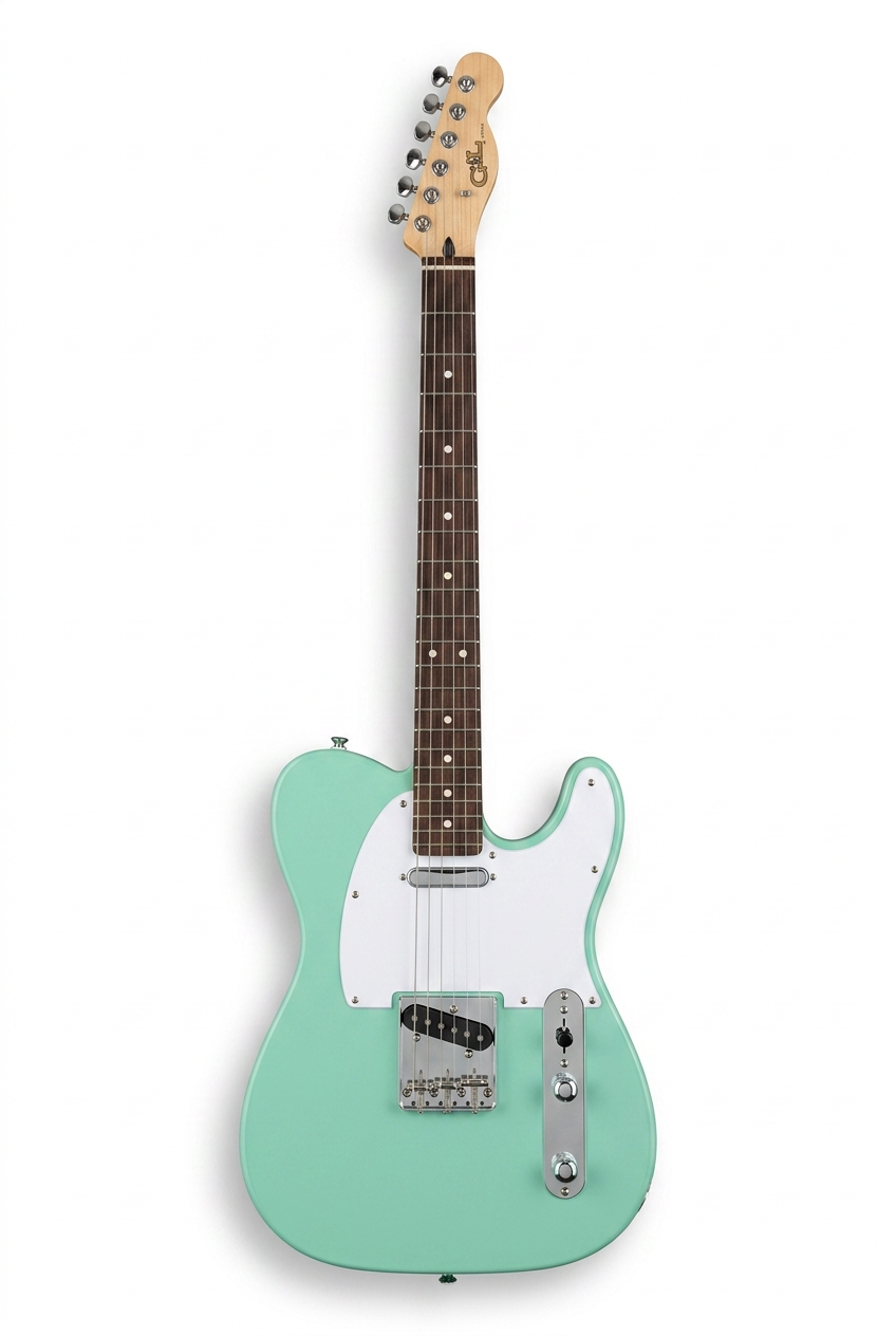 Custom Guitar