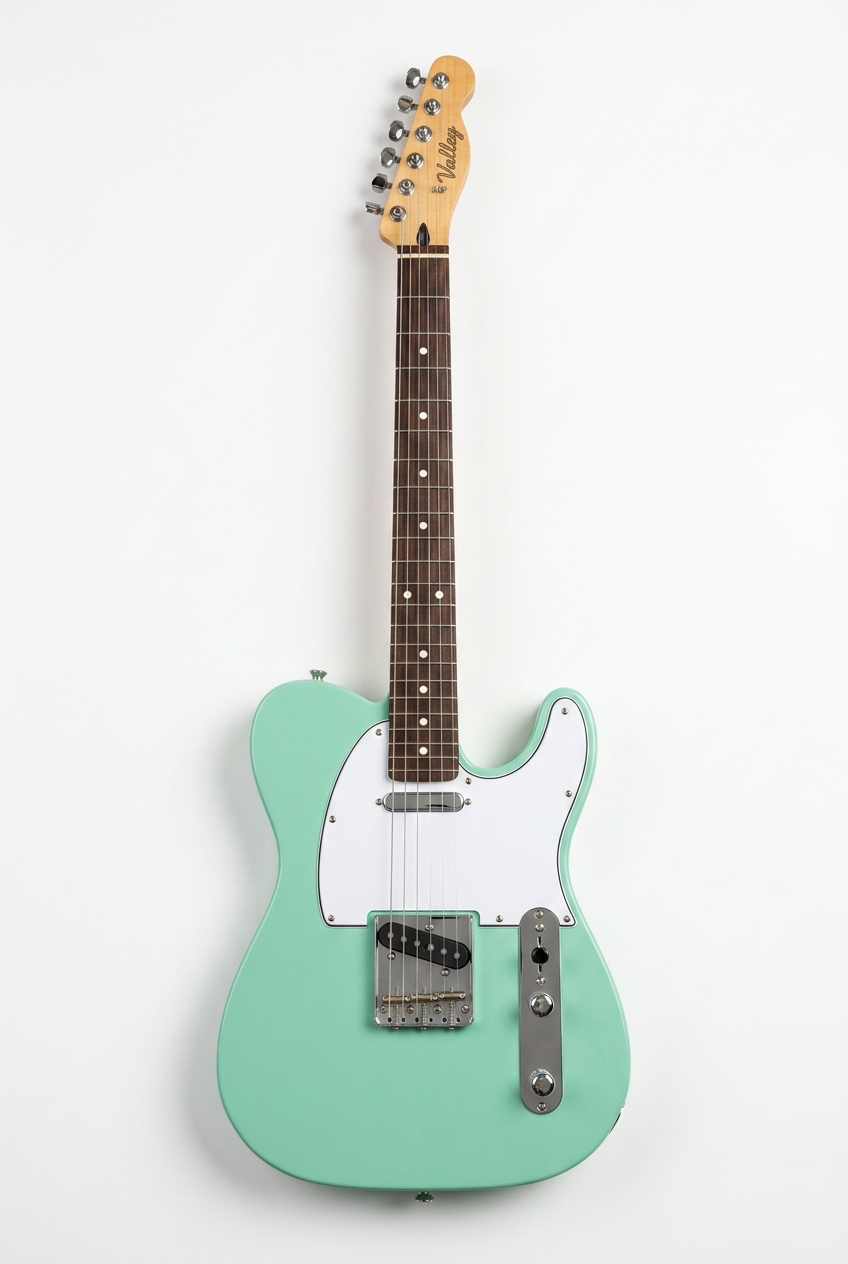 Custom Guitar